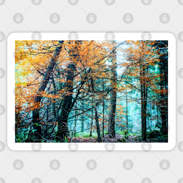 Blue autumn beech wood Sticker by heidiannemorris